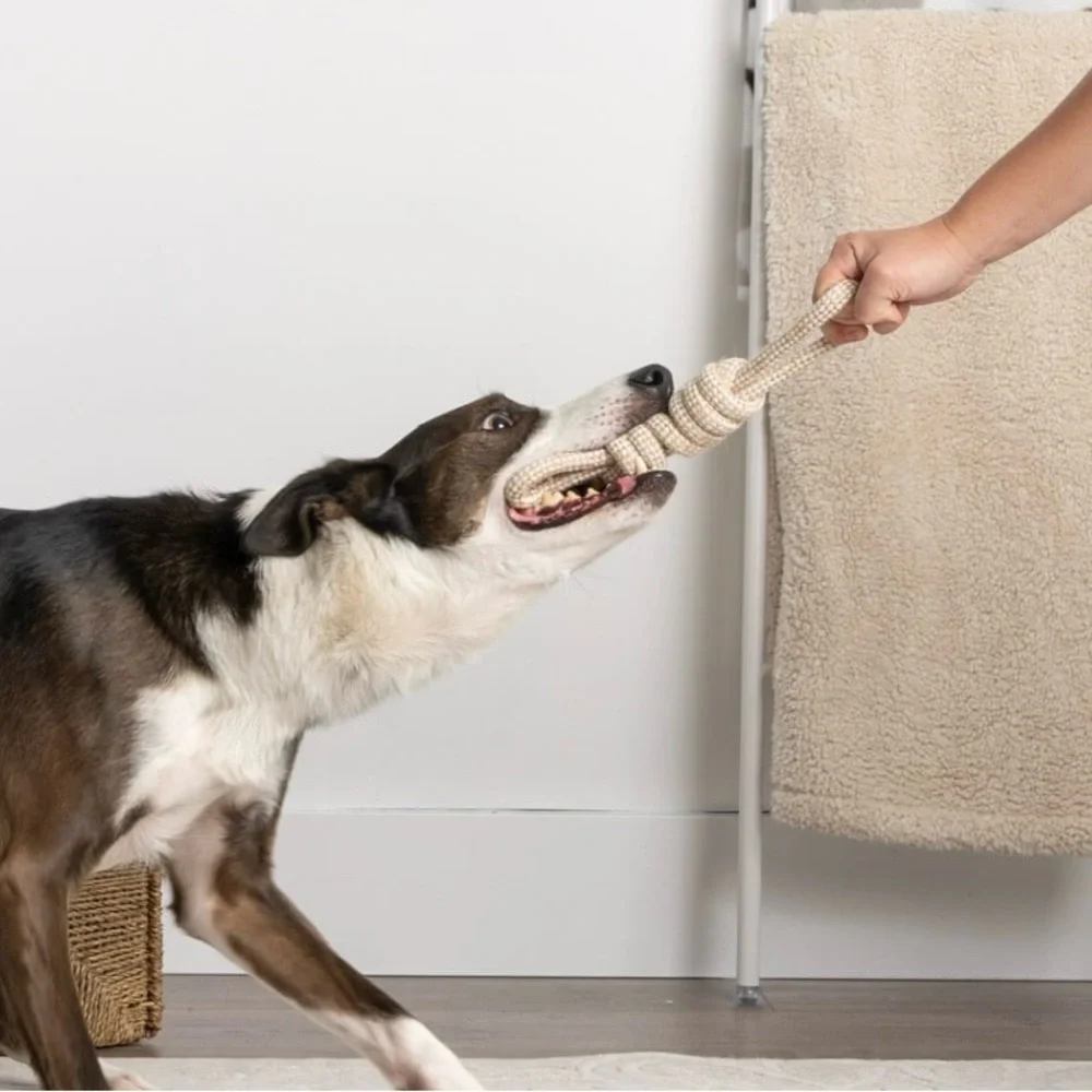 🆕 Dog Chew and Tug Knotted Natural Rope/Jute Bow Toy